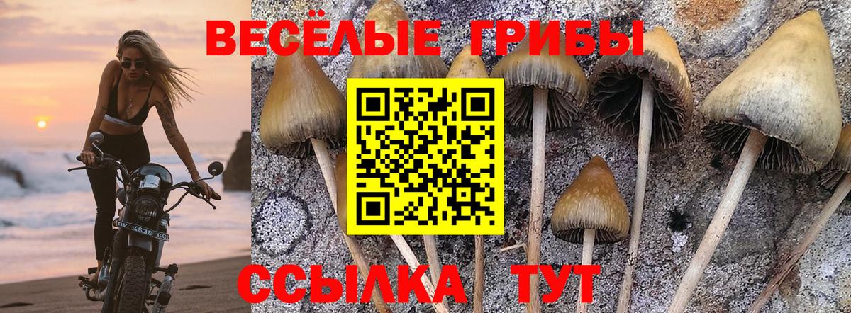 Псилоцибиновые грибы мухоморы Елабуга