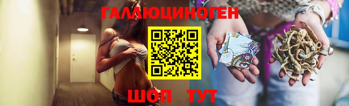 Елабуга  даркнет сайт  Вход с VPN  Псилоцибиновые грибы Psilocybe 